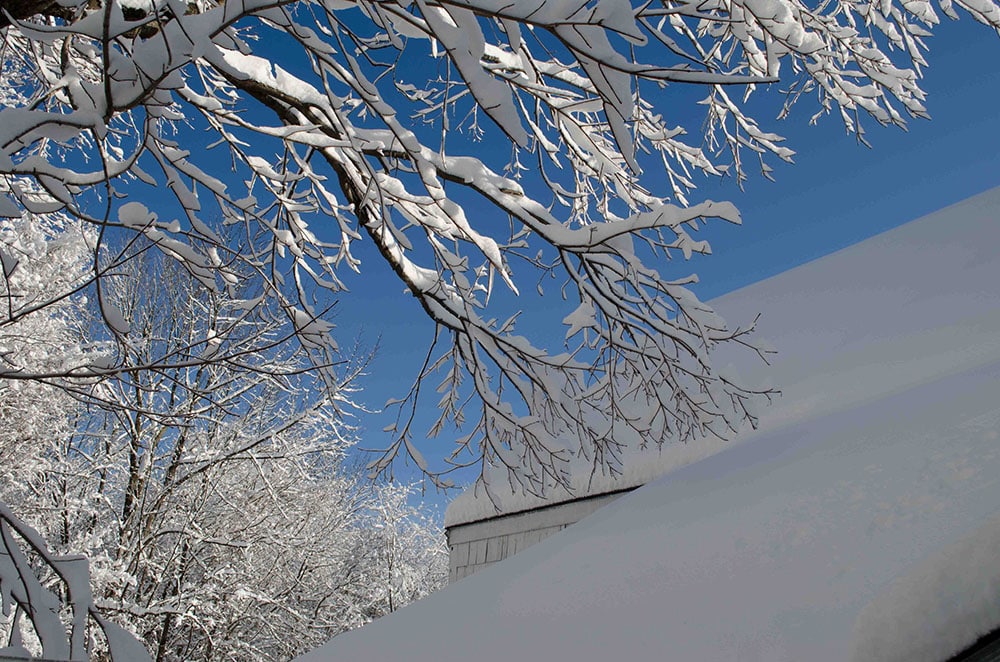 Winter-Checklist-Keep-Your-Branches-Clean